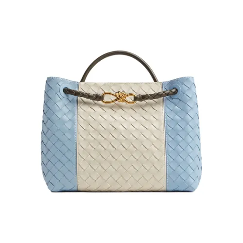 Bottega Veneta Intrecciato Handbags