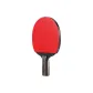 Professional, Penhold Grip Short Handle*1
