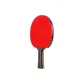 Competition-Level, Shakehand Grip[Long Handle 2 Pcs]