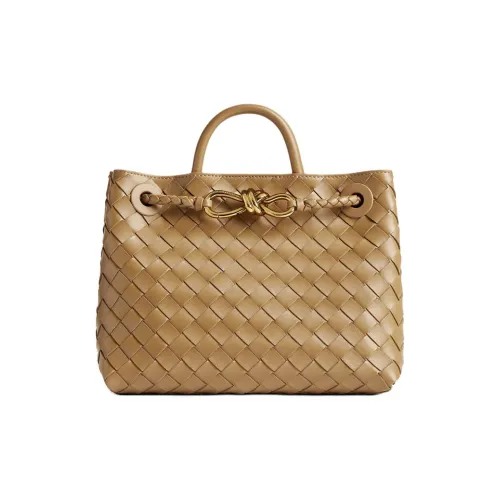 Bottega Veneta Andiamo Series Sheepskin Shoulder Bag Crossbody Bag Handbag Small Size Women's Dark Almond Brown