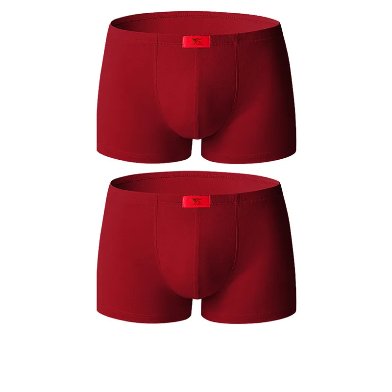 SEPTWOLVES Underwear Gift Box Men's Gift Box Of 2 Strips-0