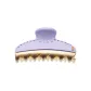 L 10 Taro Purple