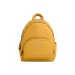 Bag+Dust Bag