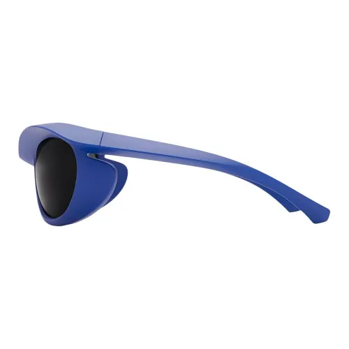 Burberry Blinker Sunglasses