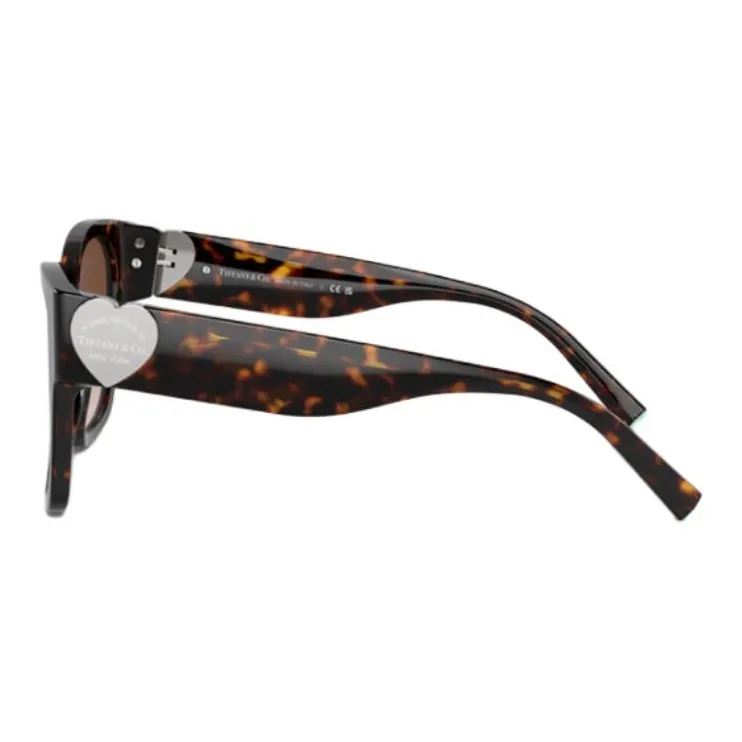 TIFFANY & CO. Square Frame Sunglasses-2