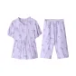 QHBN246D Light Purple