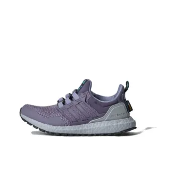 Adidas Ultra Boost 1.0 Shadow Violet Silver Violet Women's