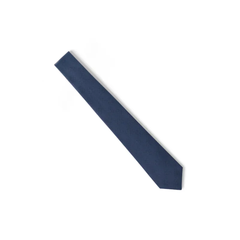 LOUIS VUITTON Mulberry Silk Ties Unisex Blue-2
