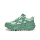 Clear Bamboo Color