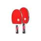 ☆5-Star Double Rackets ☆[Shakehand Grip 2 Pcs]