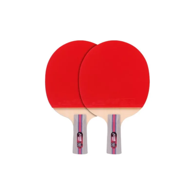 DHS Ping Pong Paddles-24