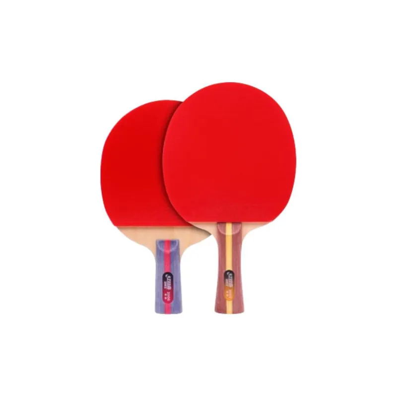 DHS Ping Pong Paddles-19