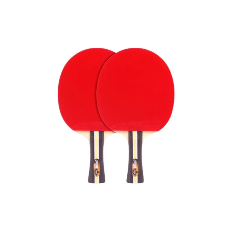 DHS Ping Pong Paddles-23