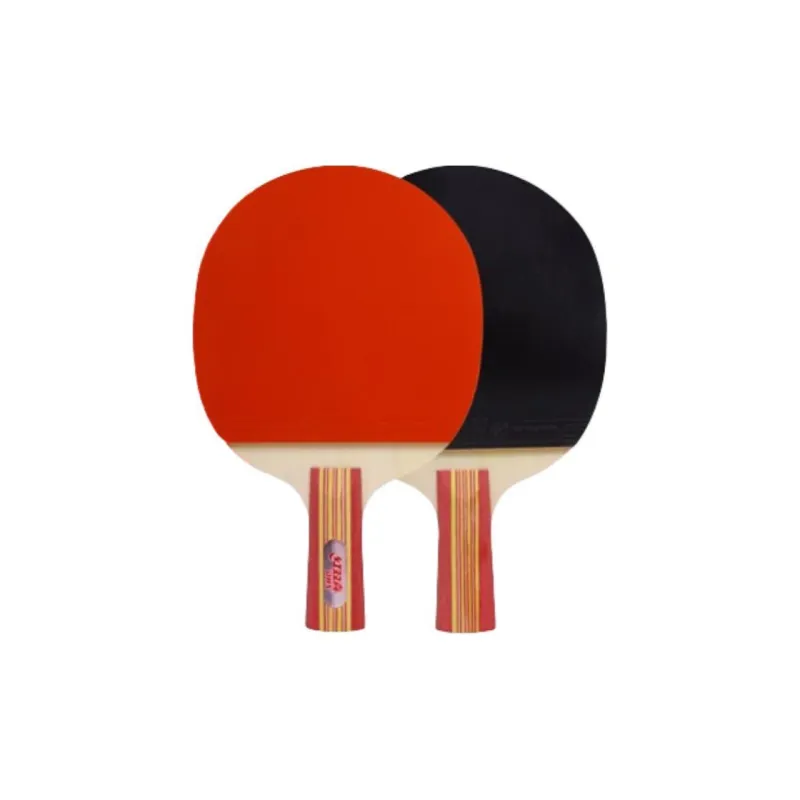 DHS Ping Pong Paddles-15