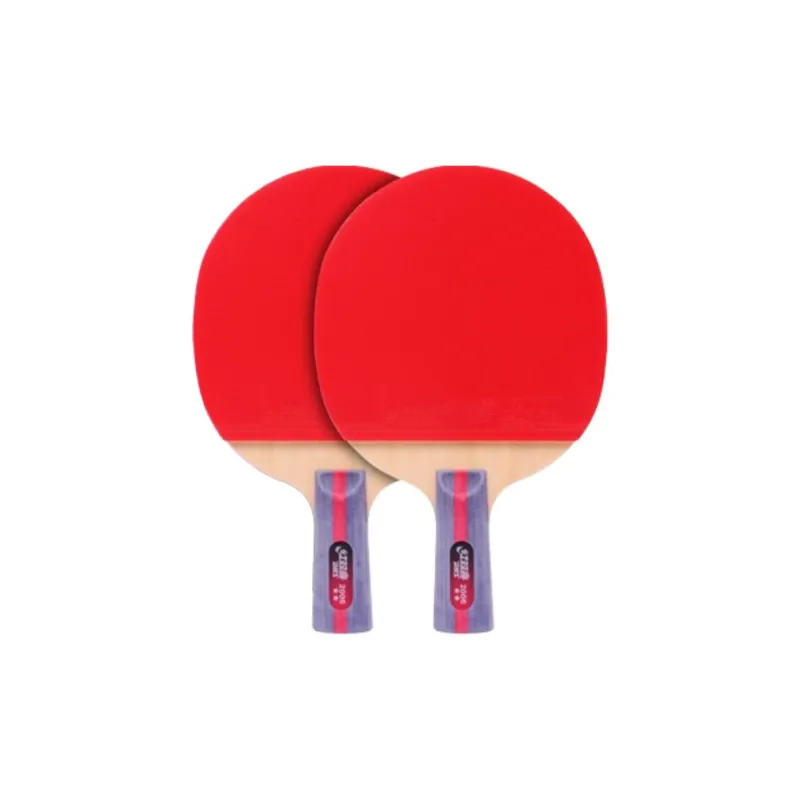 DHS Ping Pong Paddles-21