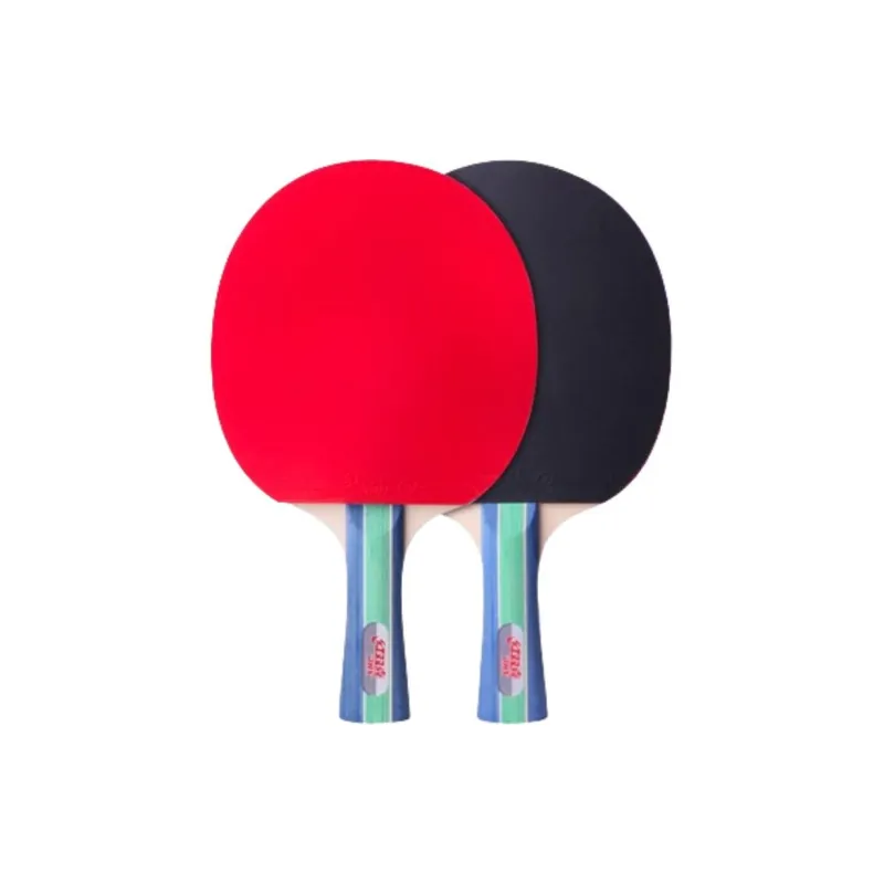 DHS Ping Pong Paddles-11
