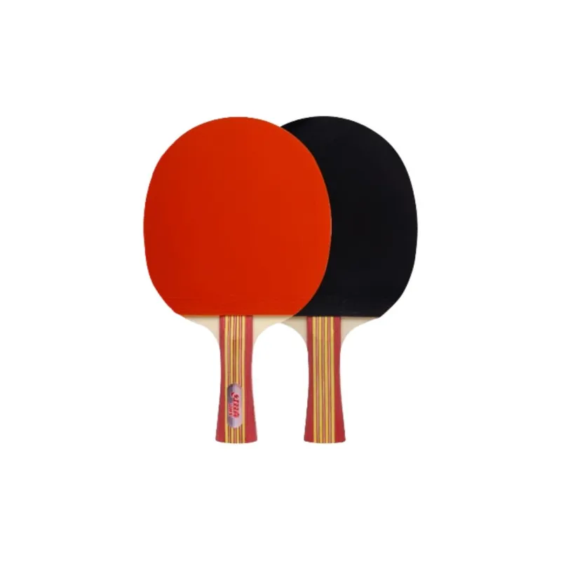 DHS Ping Pong Paddles-14