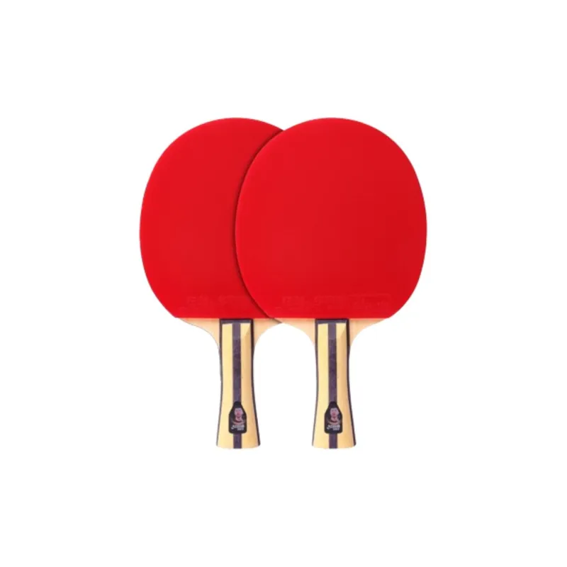 DHS Ping Pong Paddles-26