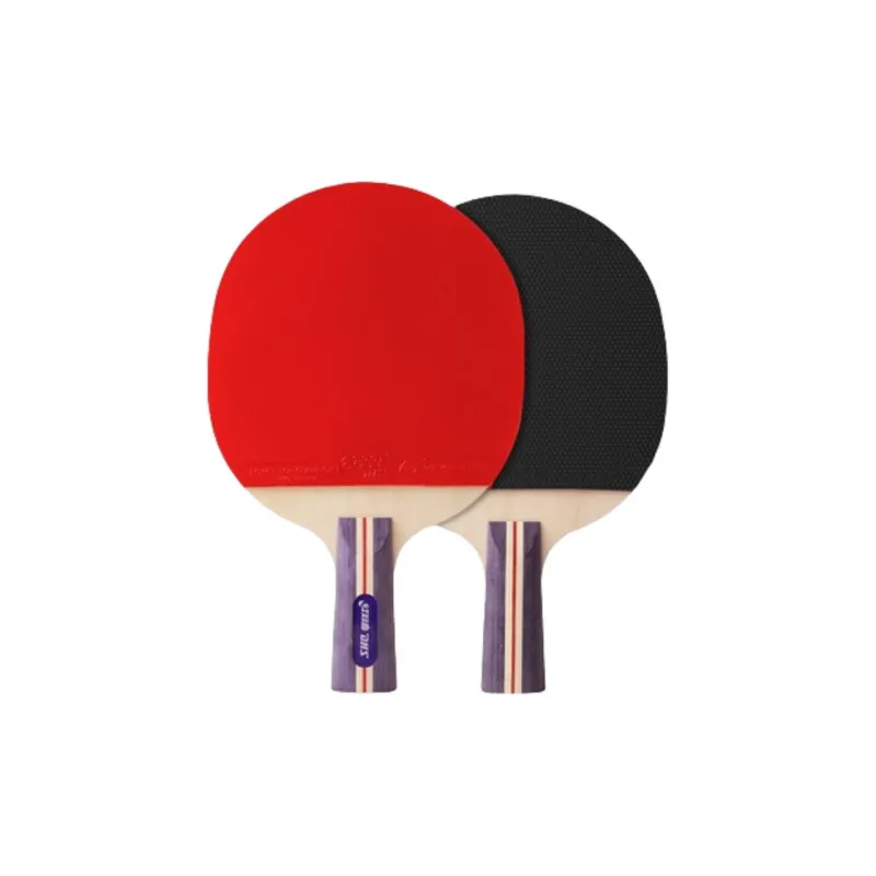 DHS Ping Pong Paddles-9
