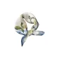 Blue White-90142
