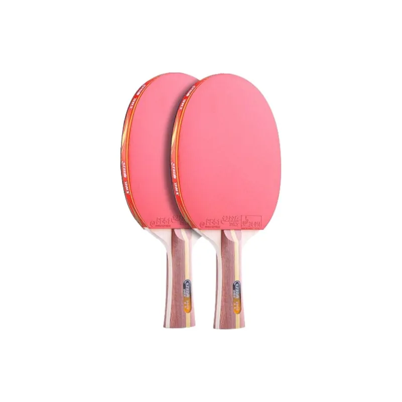 DHS Ping Pong Paddles-15