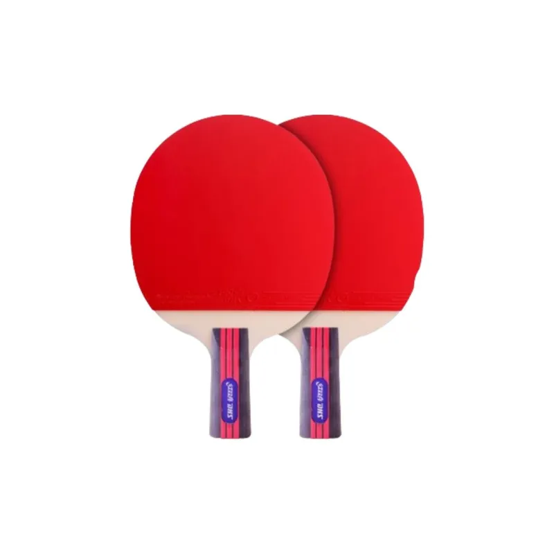 DHS Ping Pong Paddles-3