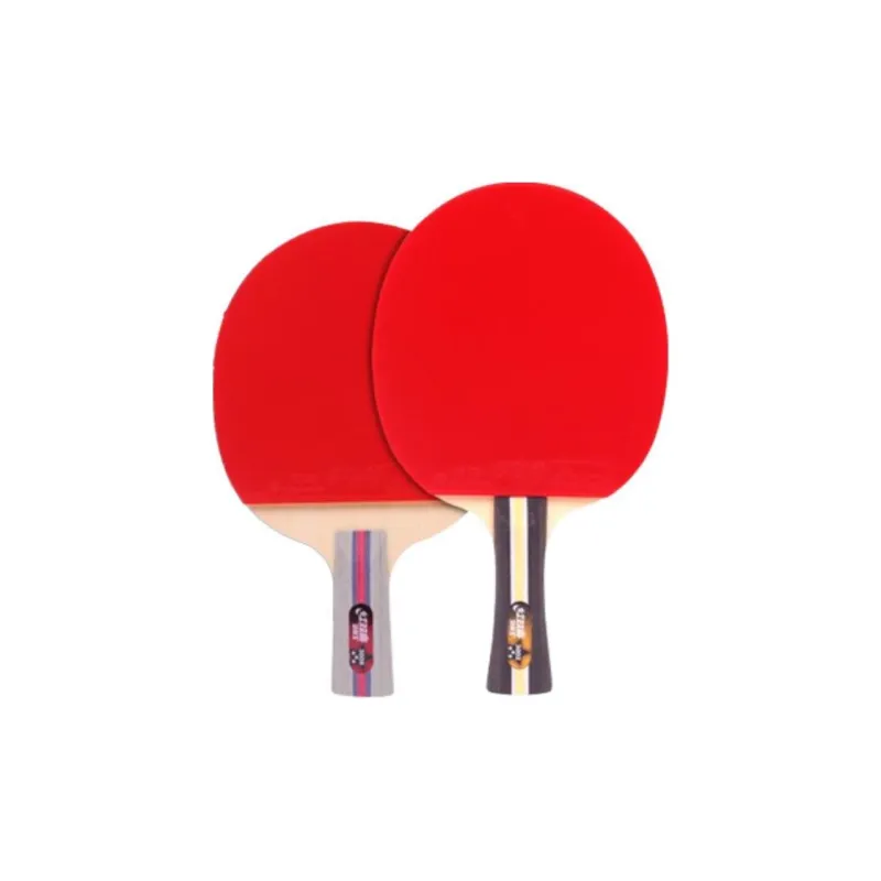 DHS Ping Pong Paddles-22