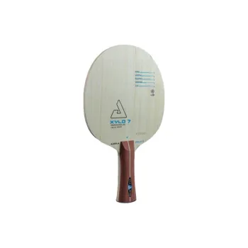 JOOLA Ping Pong Paddles