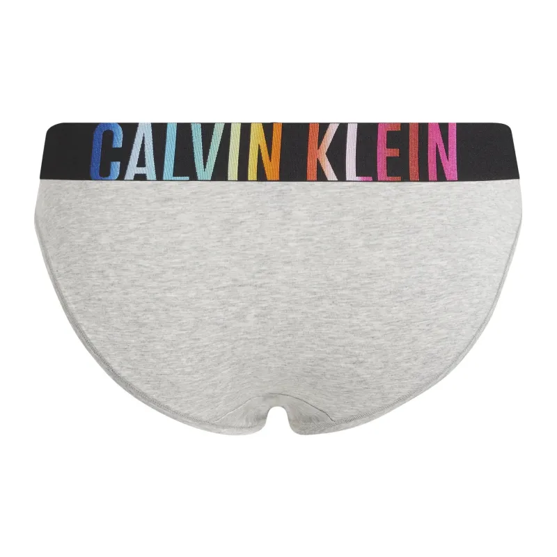 CK/Calvin Klein BIKINI Underpants Europe Version Women's 1 Pack Gray-1
