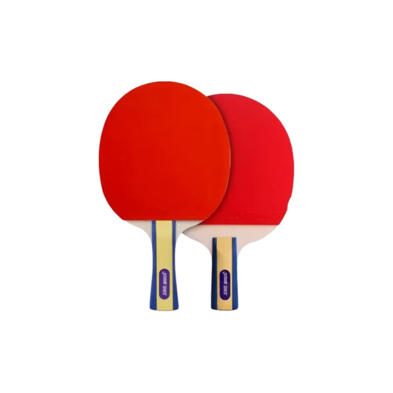 DHS Ping Pong Paddles-4