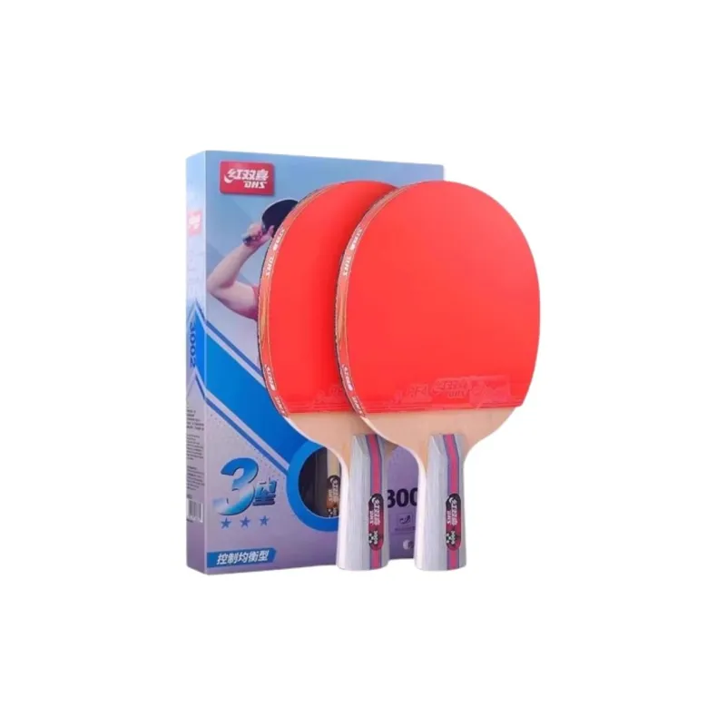 DHS Ping Pong Paddles-19