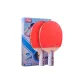 [Double Rackets]3-Star Advanced Model (Penhold Grip 2 Pcs)