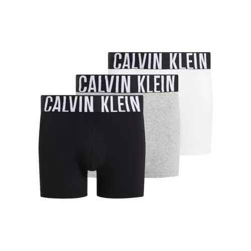 CK/Calvin Klein BOXER BRIEF 3PK Underpants Europe Version Men's 3 Pack