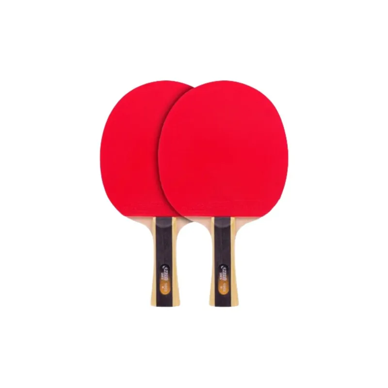 DHS Ping Pong Paddles-17