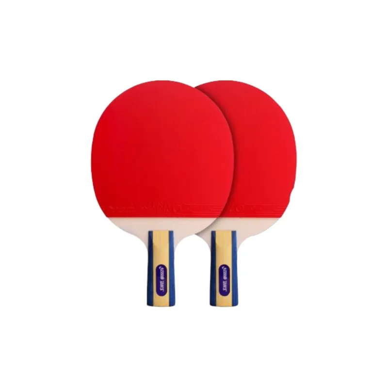 DHS Ping Pong Paddles-6