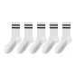 White Black Stripes (5 Pack)