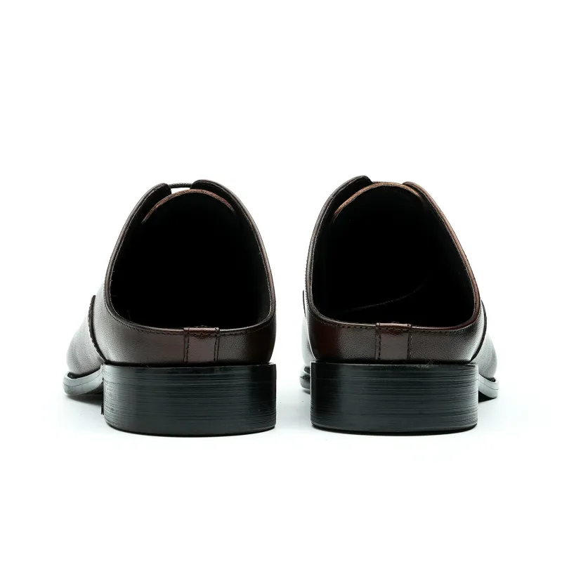ASTON M.JAZZ Dress Shoes Men Low Top Black/Coffee-12