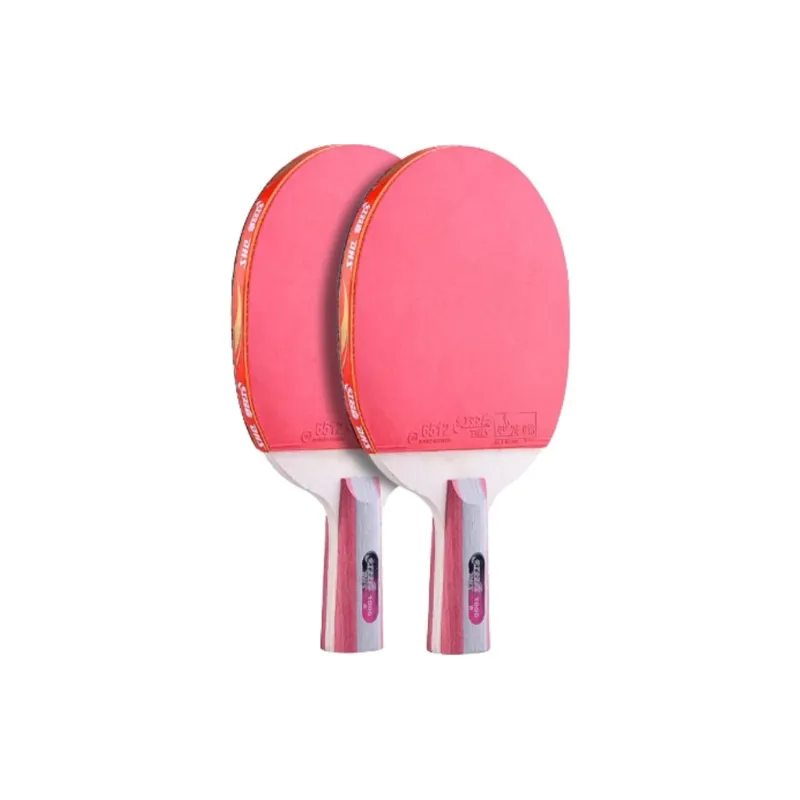 DHS Ping Pong Paddles-13
