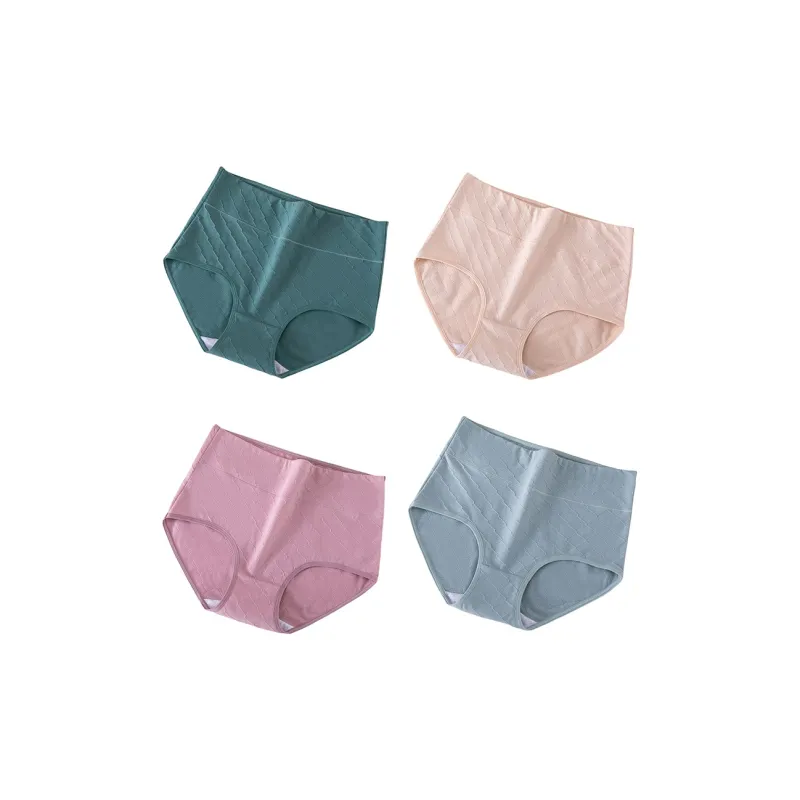 Flowers In Water Underpants Women's 4 Pack-9