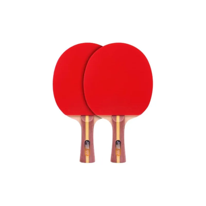 DHS Ping Pong Paddles-20