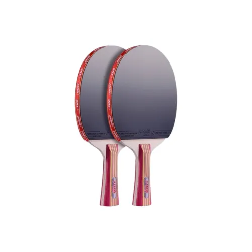 DHS Ping Pong Paddles