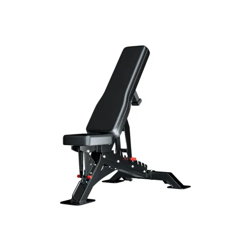 Ph.D. Research Dumbbell Benches Unisex