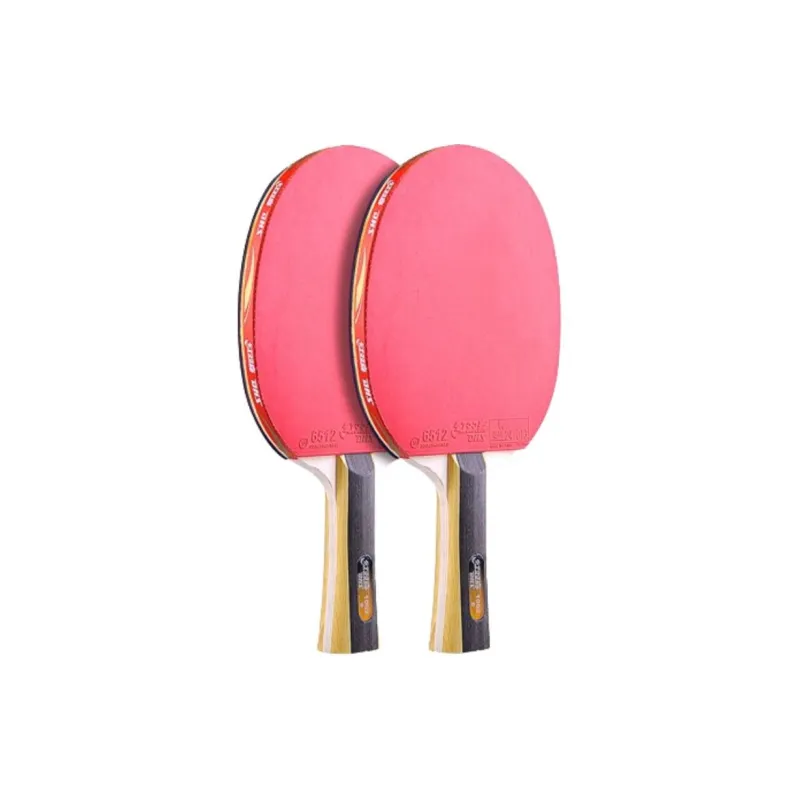 DHS Ping Pong Paddles-12