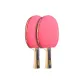 [Double Rackets]1-Star Entertainment Type (Shakehand Grip 2 Pcs)