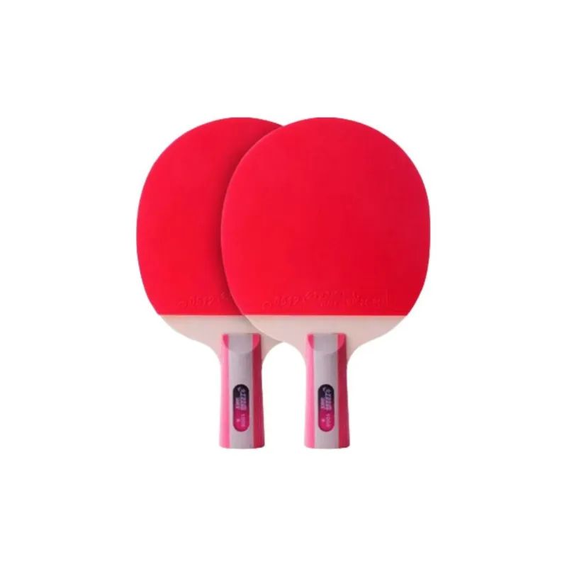 DHS Ping Pong Paddles-18