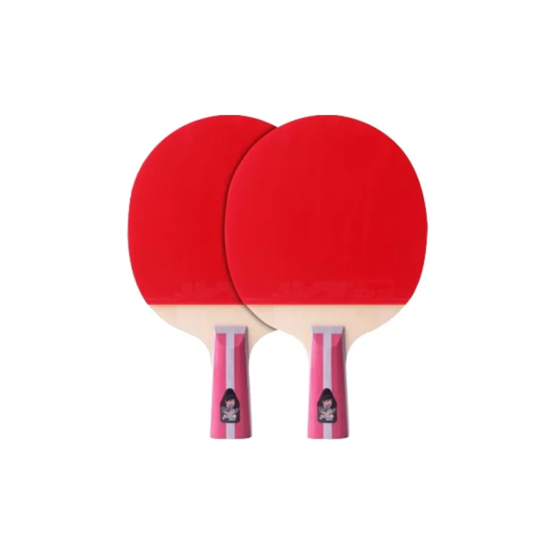 DHS Ping Pong Paddles-27