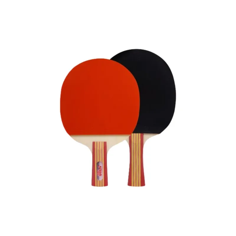 DHS Ping Pong Paddles-13