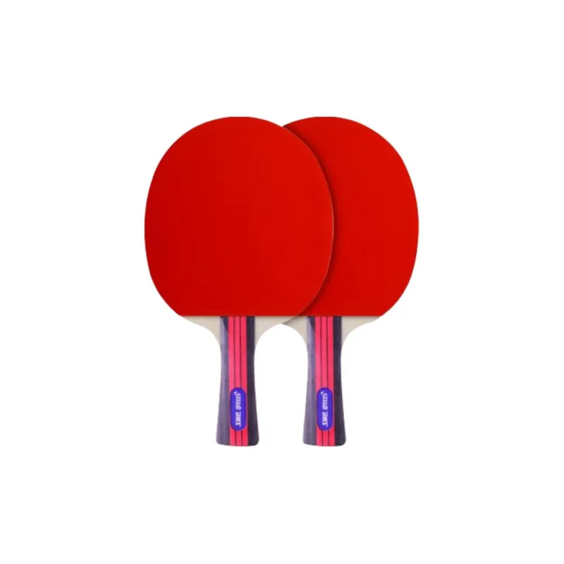 DHS Ping Pong Paddles-2