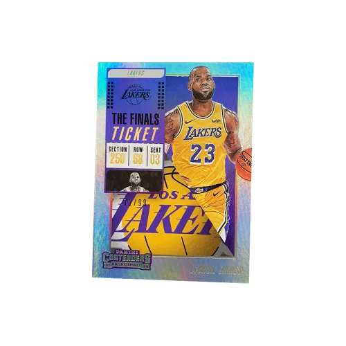 PANINI LeBron James Player Card Holographic Card Access Pass Sports Cards Single Disc