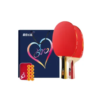 DHS Ping Pong Paddles Unisex All Wood